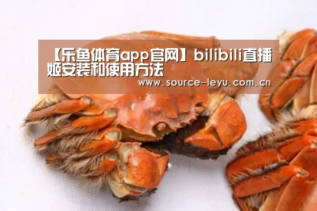 【乐鱼体育app官网】bilibili直播姬安装和使用方法(图3) 乐鱼体育app官网下载
