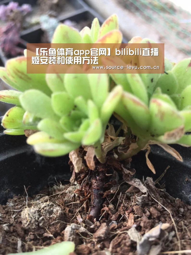 【乐鱼体育app官网】bilibili直播姬安装和使用方法(图4) 乐鱼体育app官网